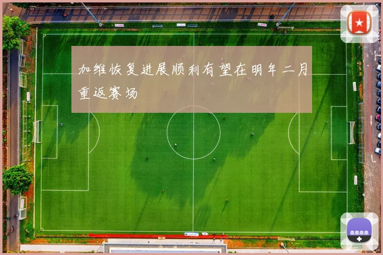 加维恢复进展顺利有望在明年二月重返赛场