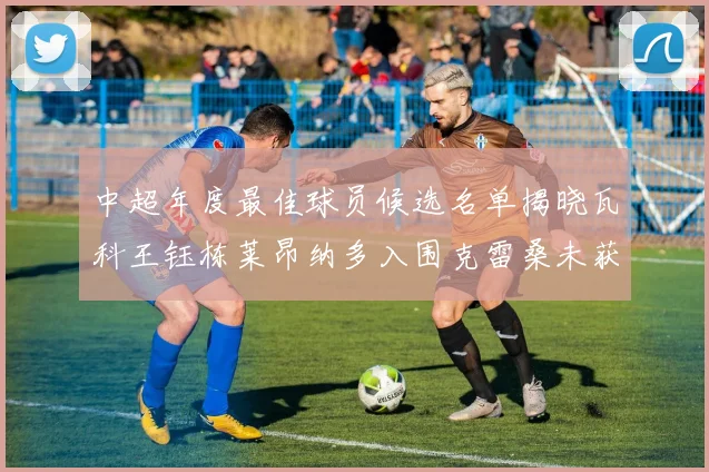 中超年度最佳球员候选名单揭晓瓦科王钰栋莱昂纳多入围克雷桑未获提名