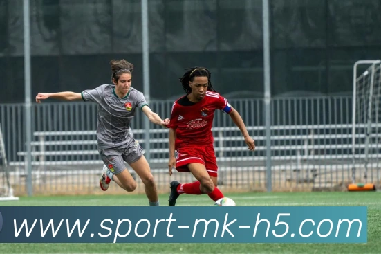 MK体育APP 封面图